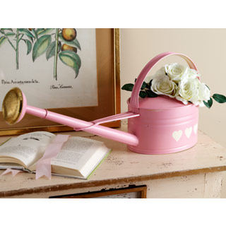 decorative watering can